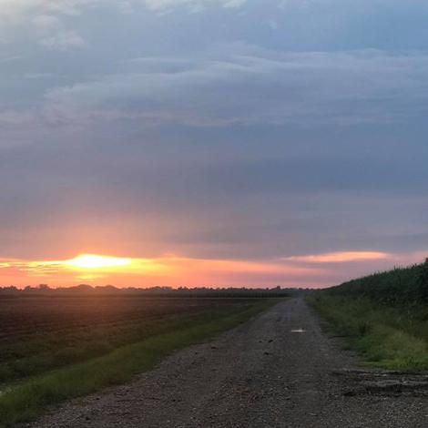 New Year on the Westside!