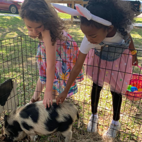 Springtime on the Westside!