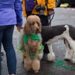 Krewe of Good Friends of the Oaks Parade Port Allen