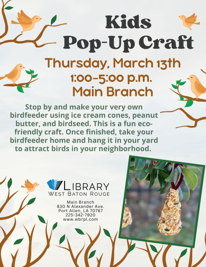 Craft-Bird-feeder-Flyer