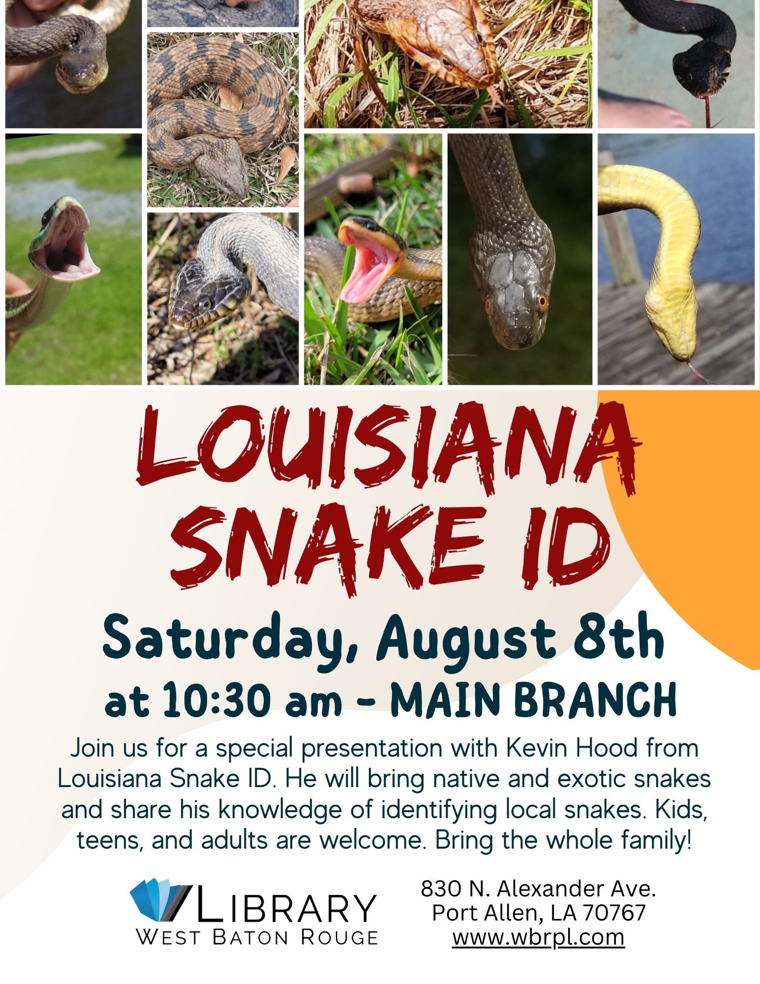 Louisiana Snake ID – Main Branch
